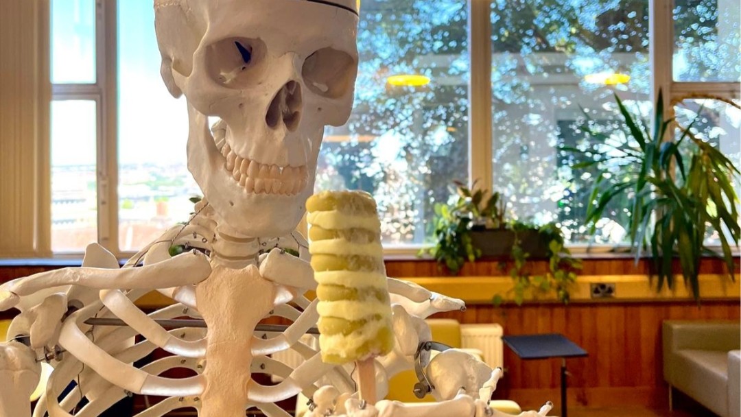 A photograph of Mort the Skeleton in the Medical Library holding a twister ice lolly. He is expressionless as he's a skeleton, but he's keeping cool!
